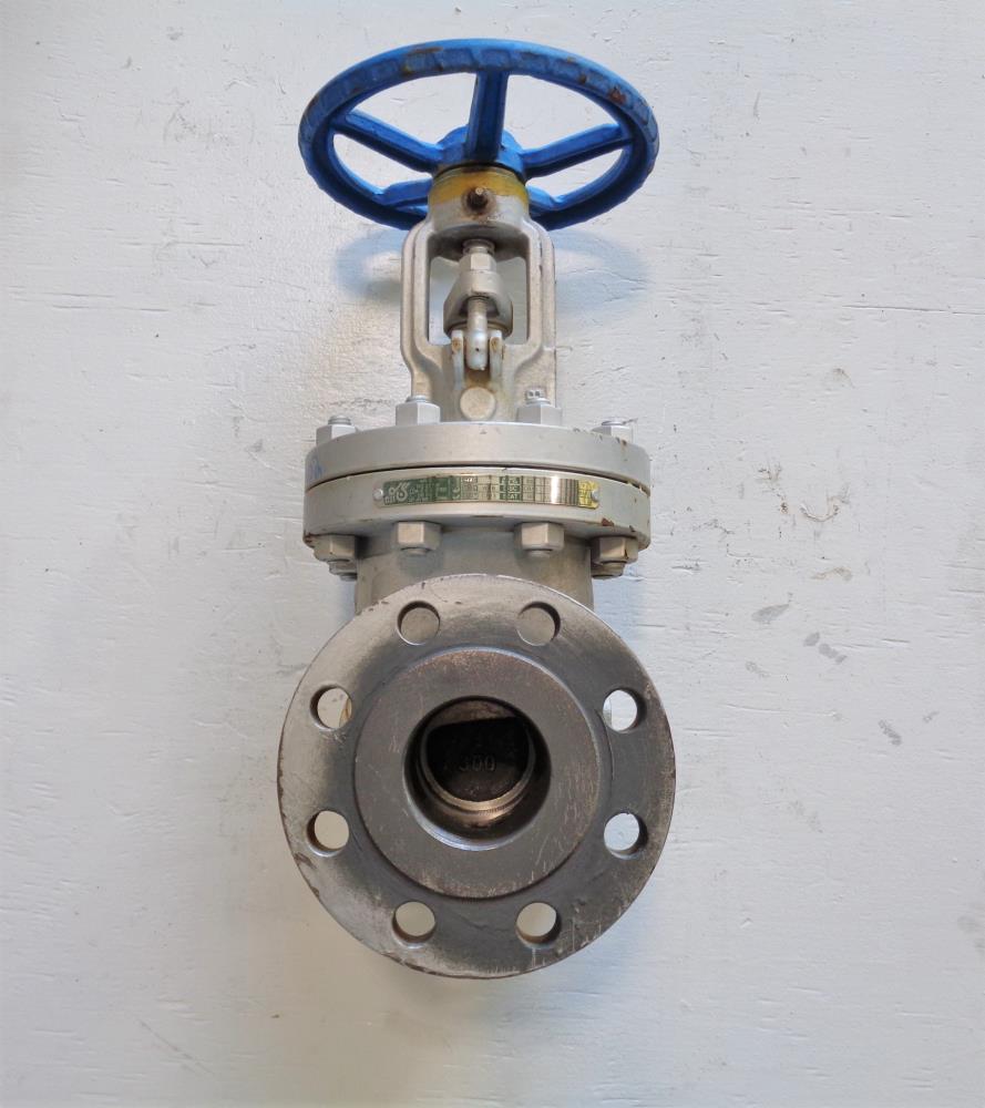 DSI 3" 300# WCB Gate Valve 23XUF